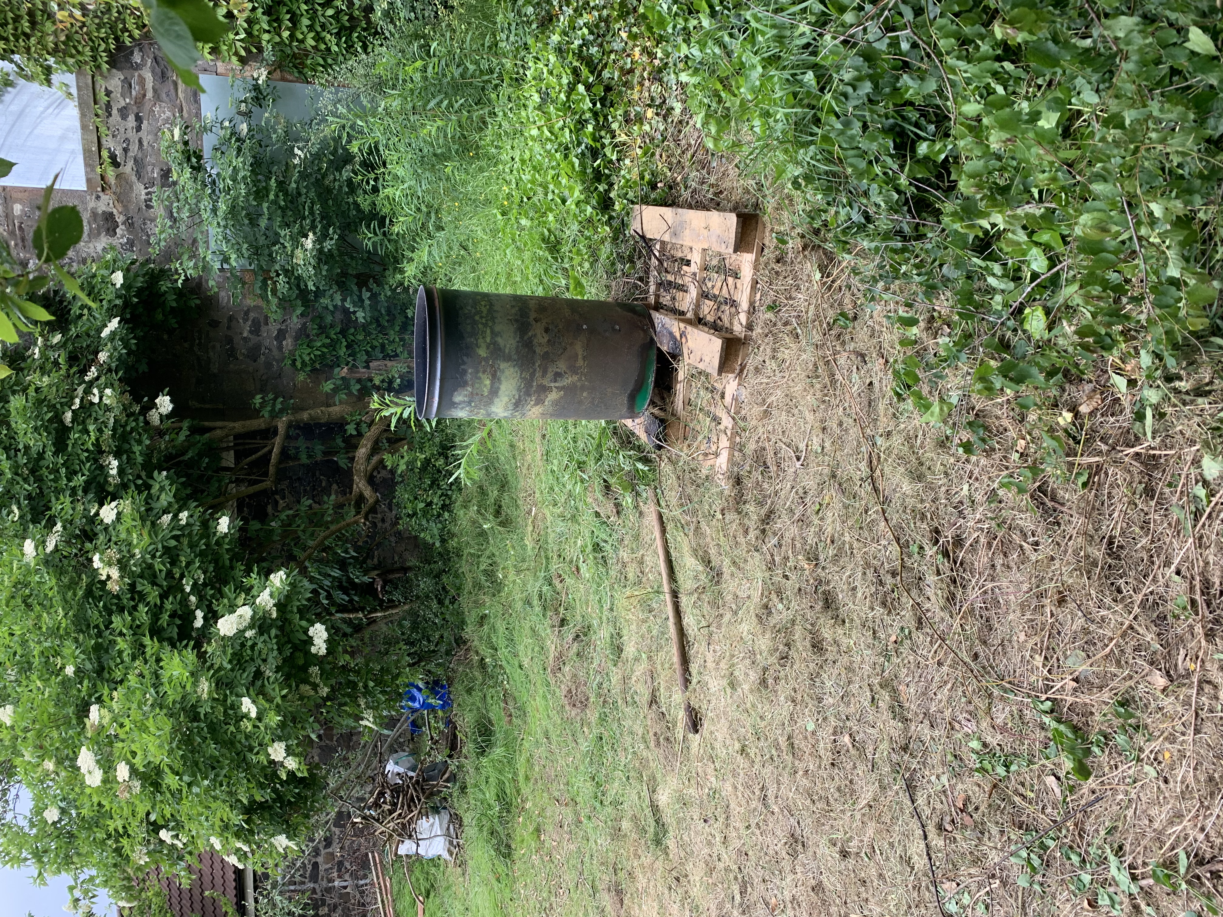 Clearing ground